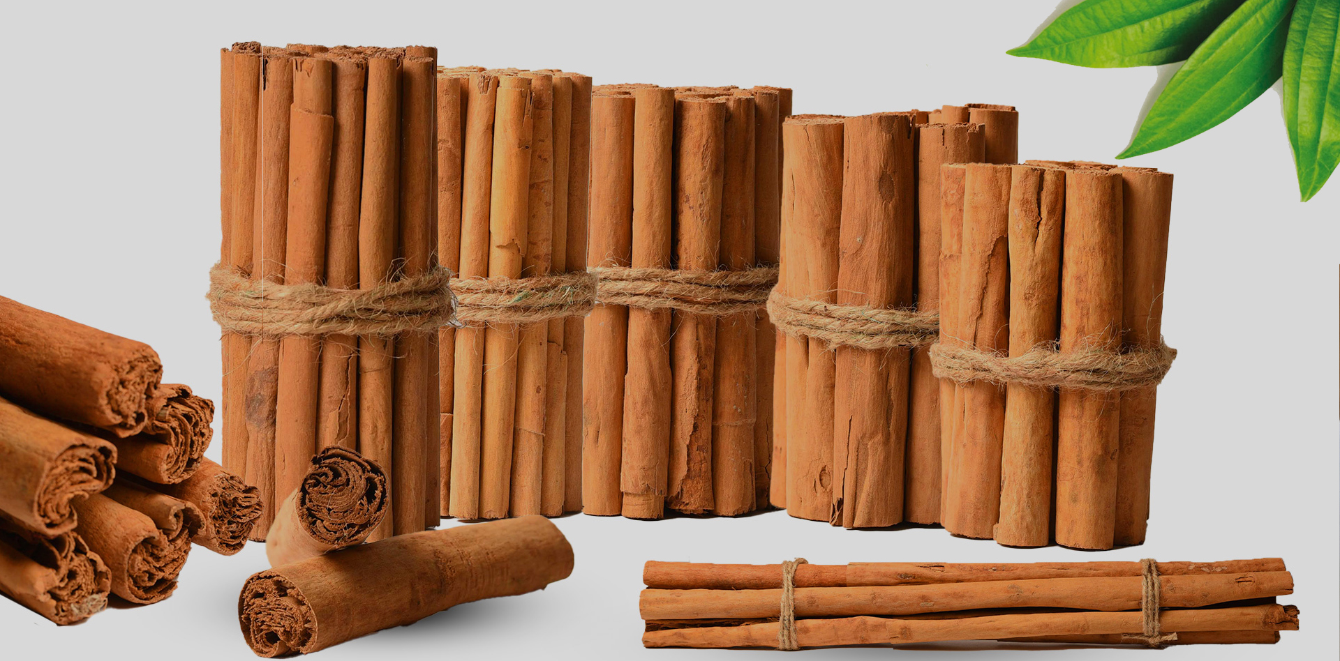 SriCinnamon – UI/UX Design